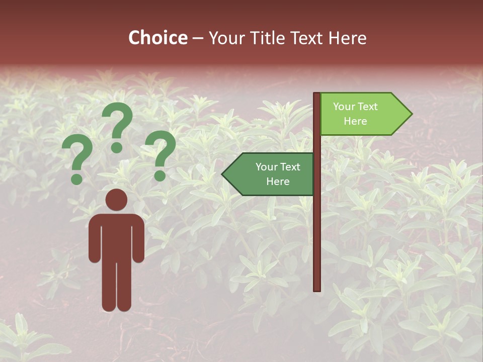 Sweetening Herbal Calorie PowerPoint Template