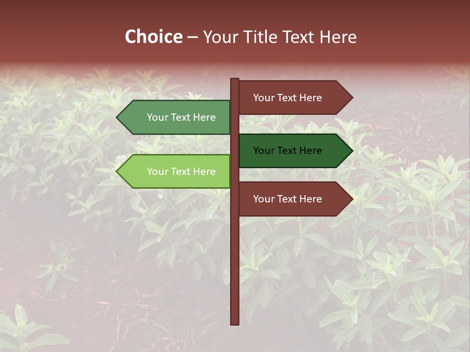 Sweetening Herbal Calorie PowerPoint Template