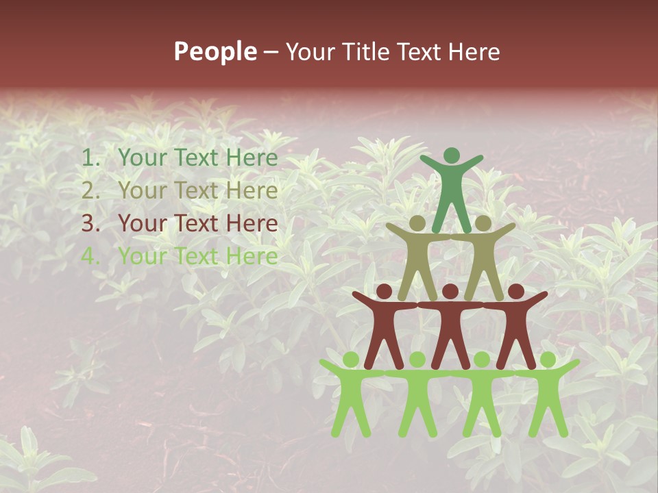 Sweetening Herbal Calorie PowerPoint Template