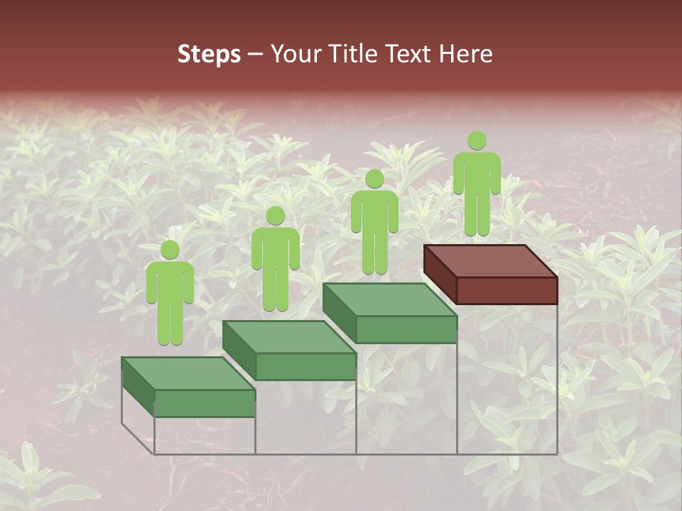 Sweetening Herbal Calorie PowerPoint Template