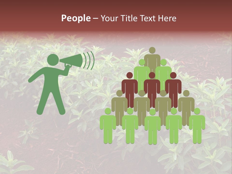 Sweetening Herbal Calorie PowerPoint Template