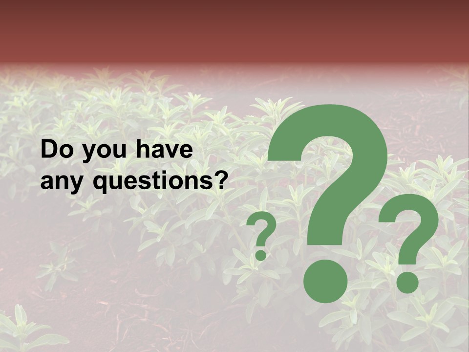 Sweetening Herbal Calorie PowerPoint Template