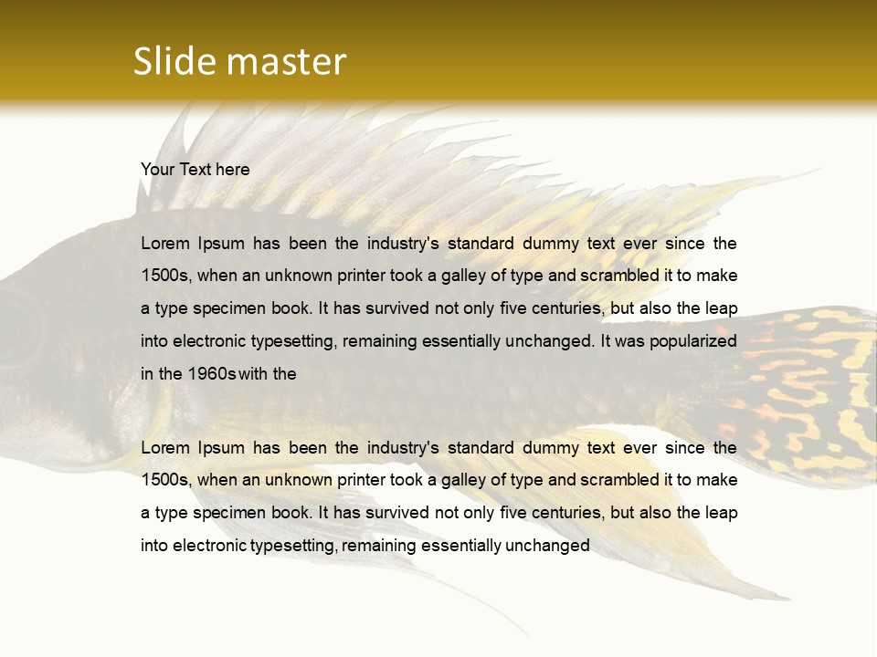 Aquarium Cockatoo Dwarf Cichlid Pet PowerPoint Template