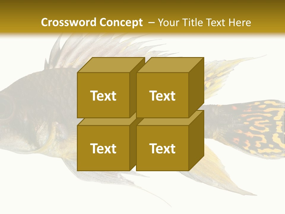 Aquarium Cockatoo Dwarf Cichlid Pet PowerPoint Template