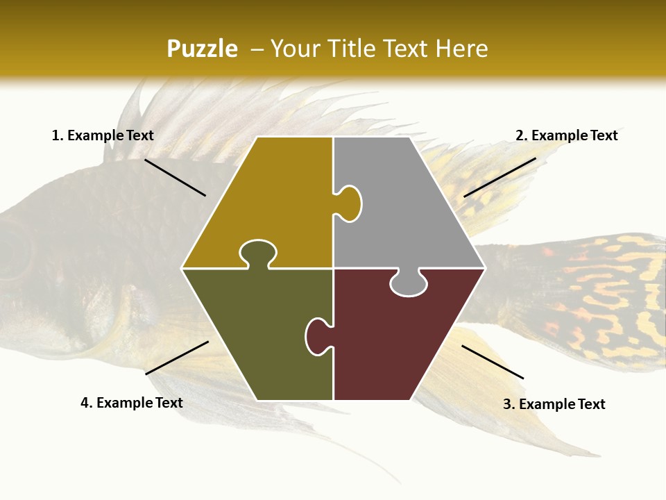 Aquarium Cockatoo Dwarf Cichlid Pet PowerPoint Template