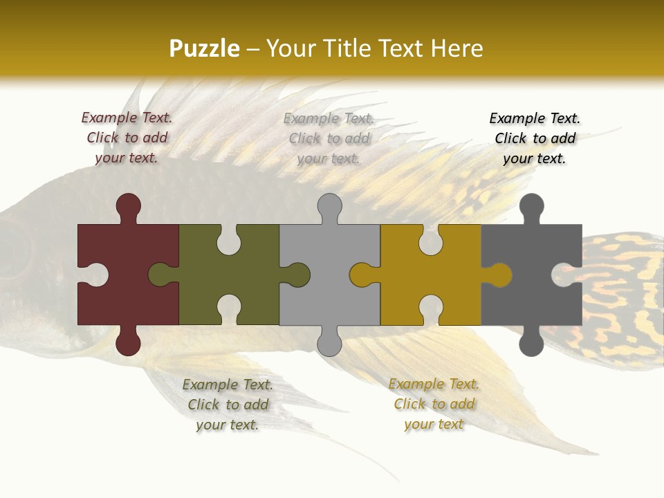 Aquarium Cockatoo Dwarf Cichlid Pet PowerPoint Template