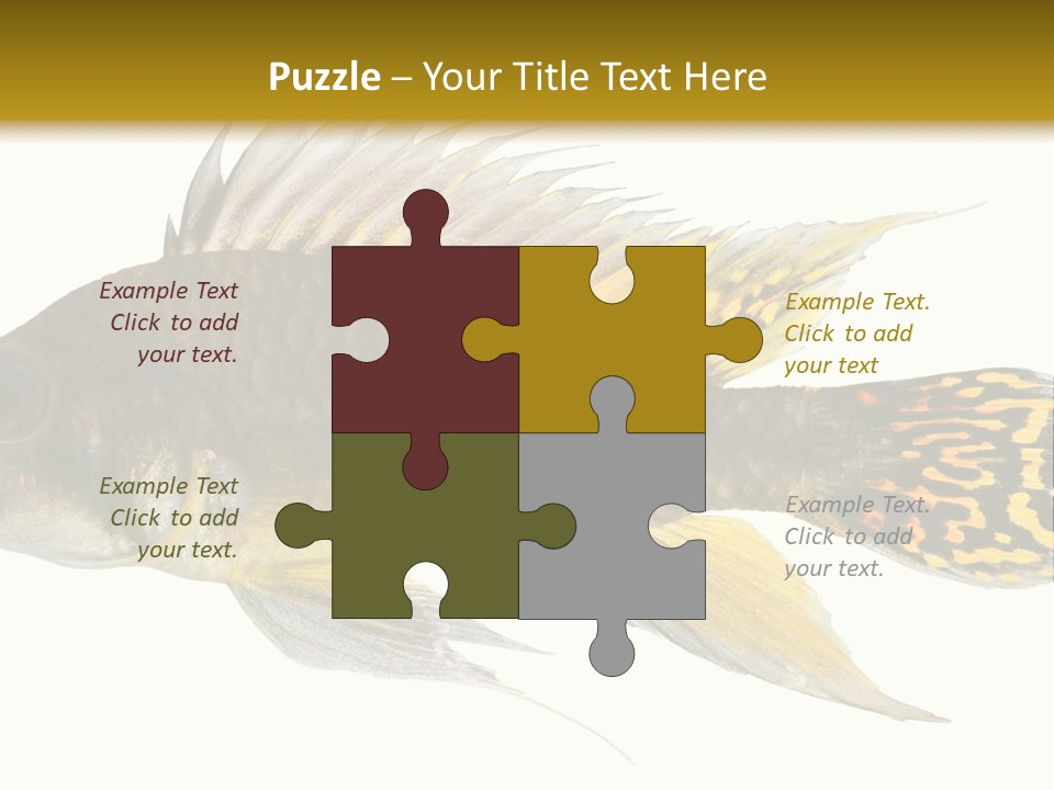 Aquarium Cockatoo Dwarf Cichlid Pet PowerPoint Template