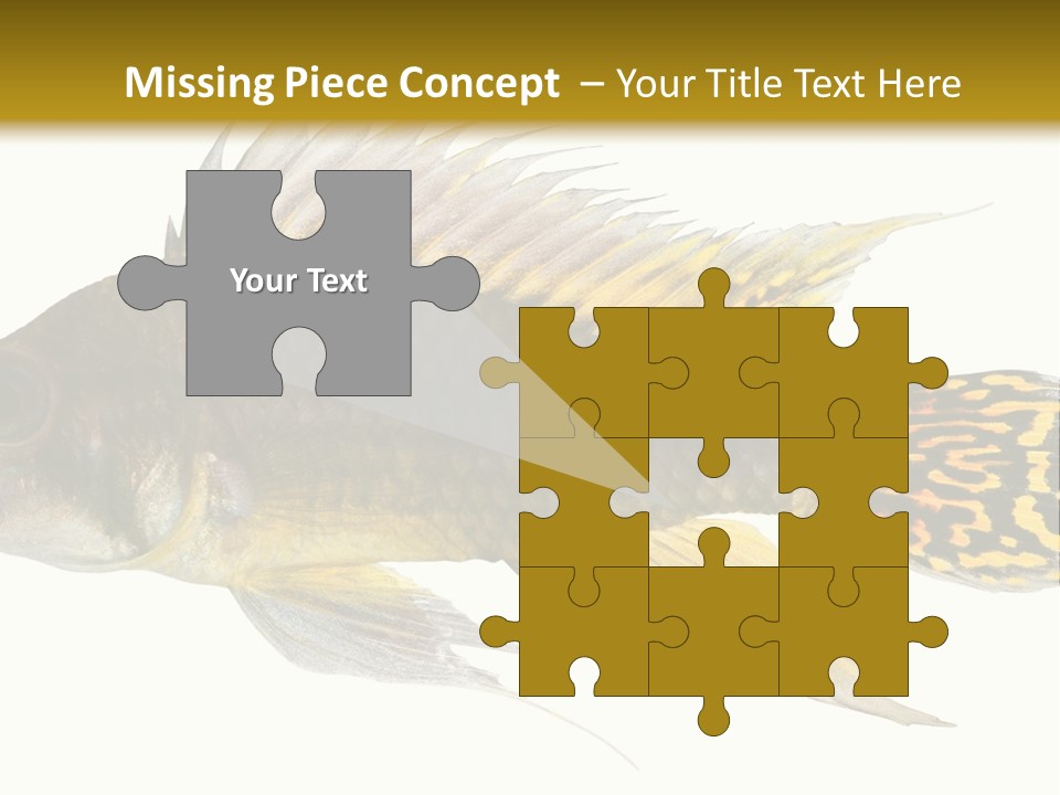 Aquarium Cockatoo Dwarf Cichlid Pet PowerPoint Template