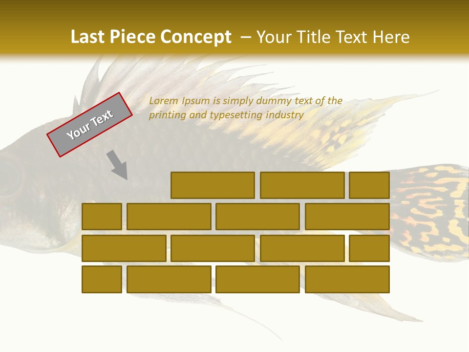 Aquarium Cockatoo Dwarf Cichlid Pet PowerPoint Template