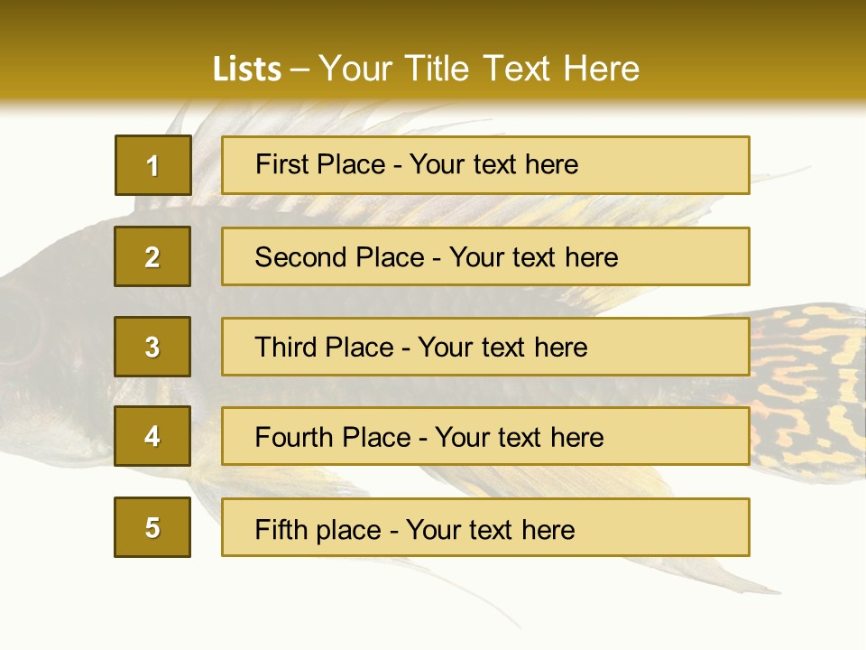 Aquarium Cockatoo Dwarf Cichlid Pet PowerPoint Template