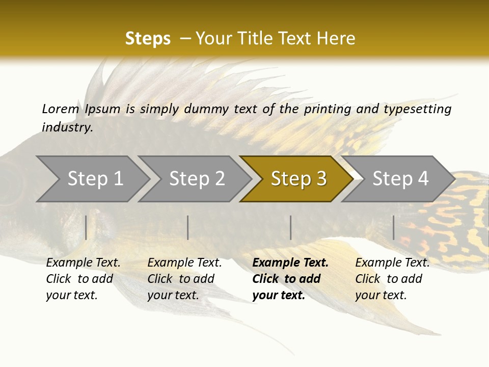 Aquarium Cockatoo Dwarf Cichlid Pet PowerPoint Template