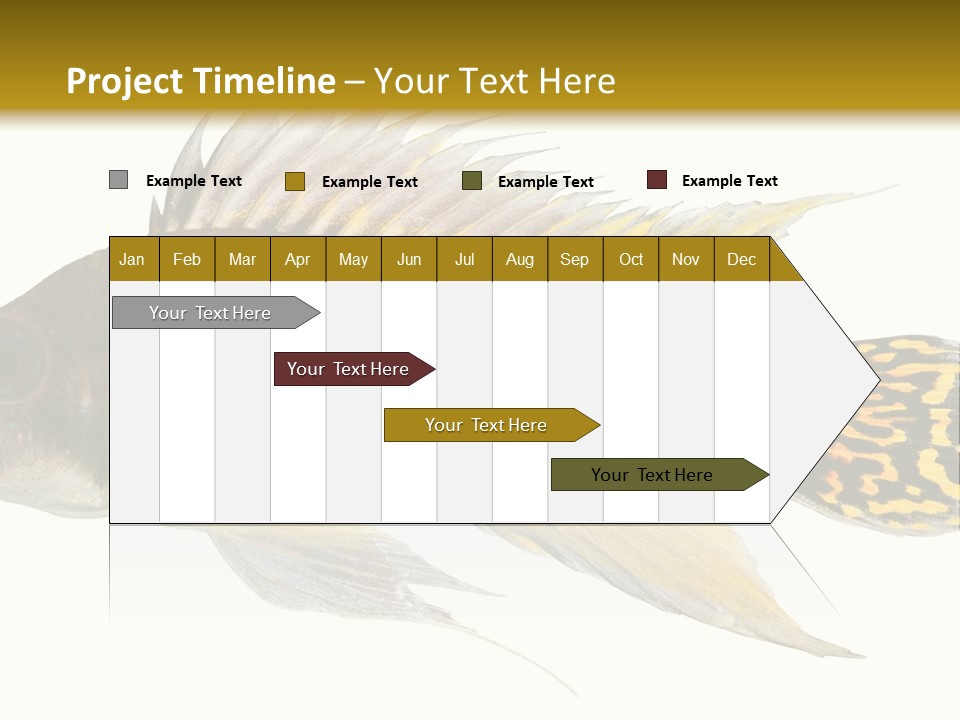 Aquarium Cockatoo Dwarf Cichlid Pet PowerPoint Template