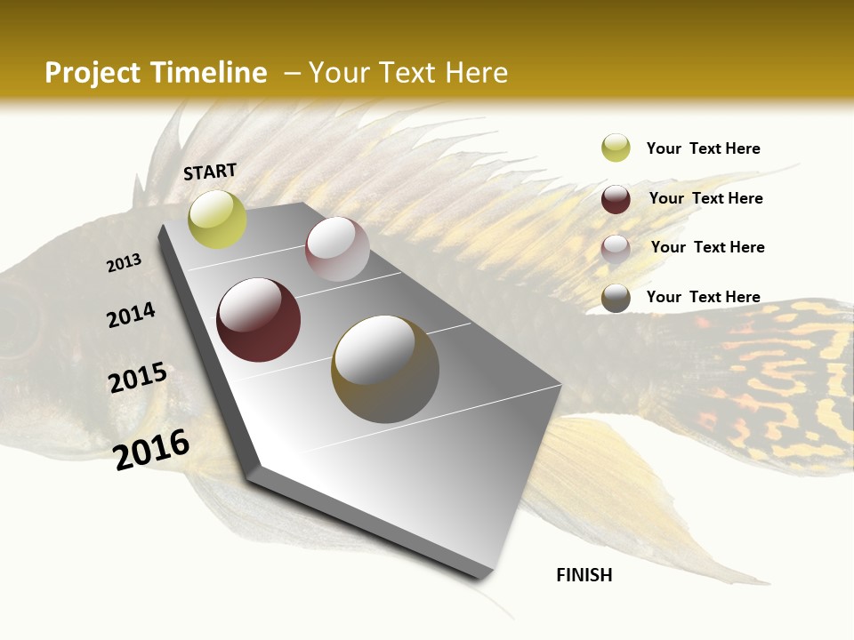 Aquarium Cockatoo Dwarf Cichlid Pet PowerPoint Template