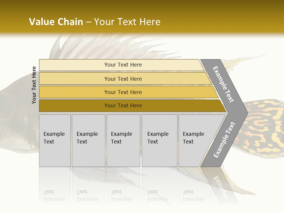 Aquarium Cockatoo Dwarf Cichlid Pet PowerPoint Template