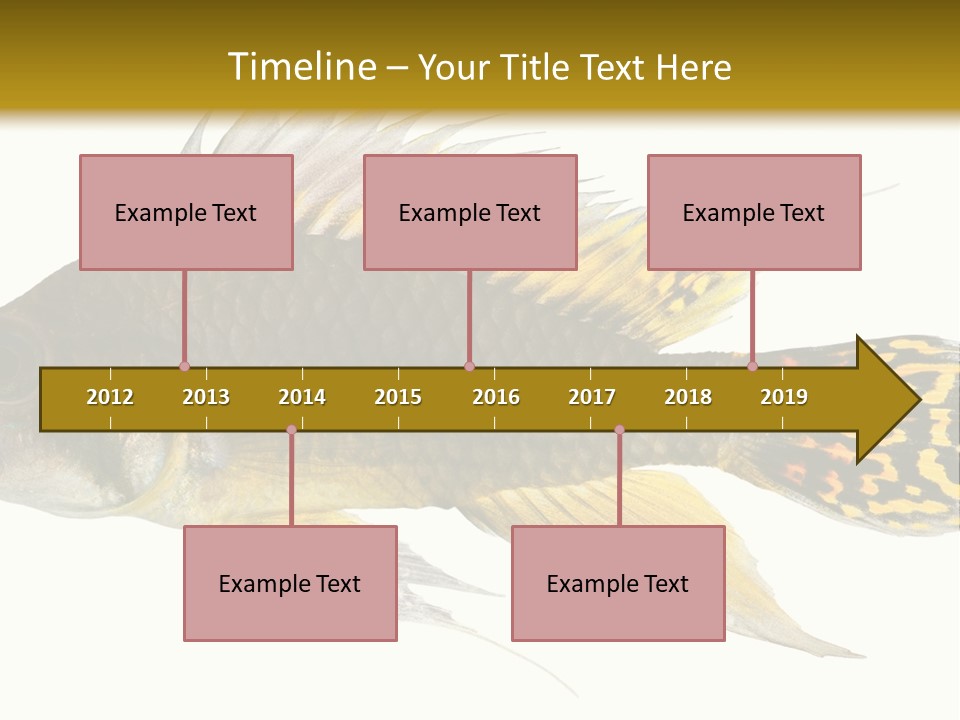 Aquarium Cockatoo Dwarf Cichlid Pet PowerPoint Template
