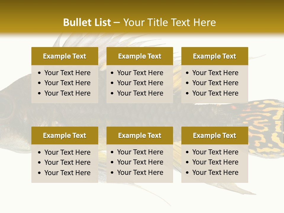 Aquarium Cockatoo Dwarf Cichlid Pet PowerPoint Template