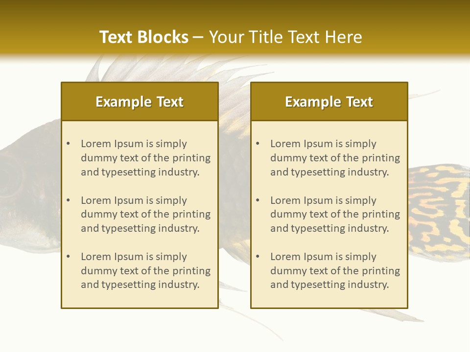 Aquarium Cockatoo Dwarf Cichlid Pet PowerPoint Template
