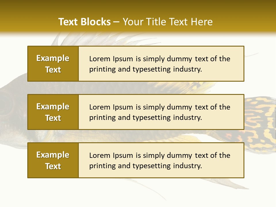 Aquarium Cockatoo Dwarf Cichlid Pet PowerPoint Template