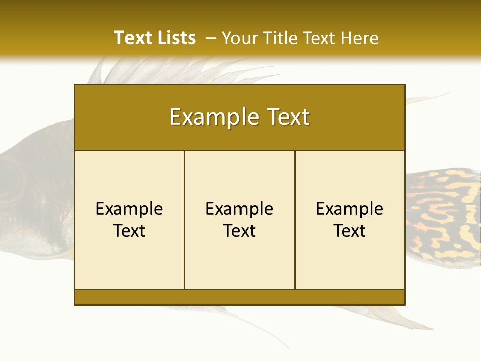 Aquarium Cockatoo Dwarf Cichlid Pet PowerPoint Template