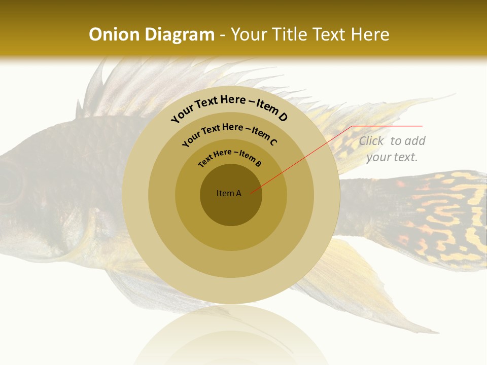 Aquarium Cockatoo Dwarf Cichlid Pet PowerPoint Template