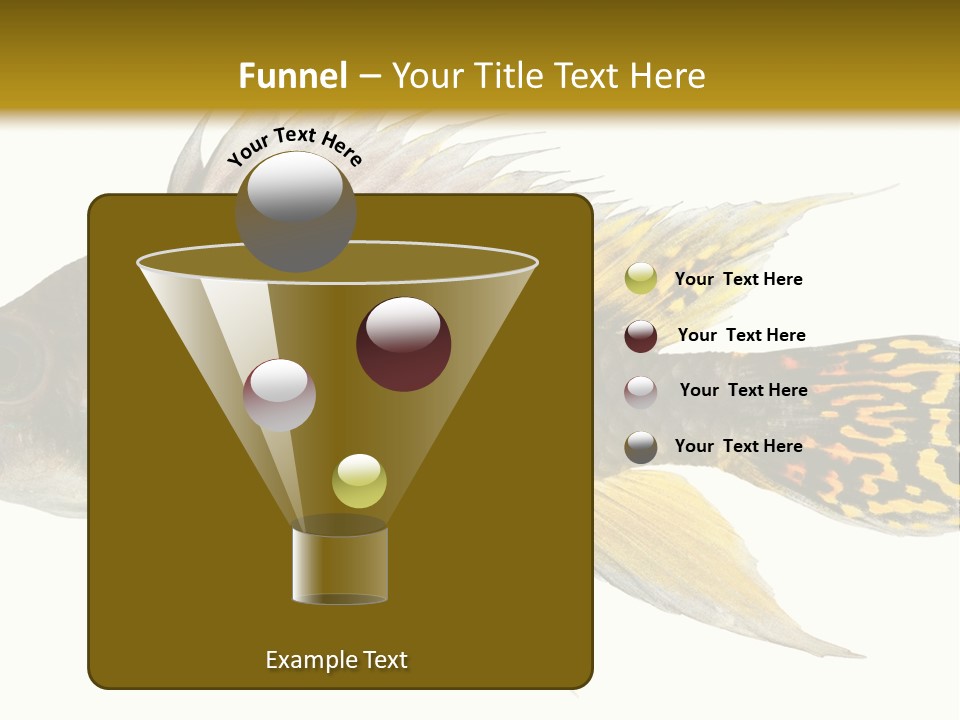 Aquarium Cockatoo Dwarf Cichlid Pet PowerPoint Template