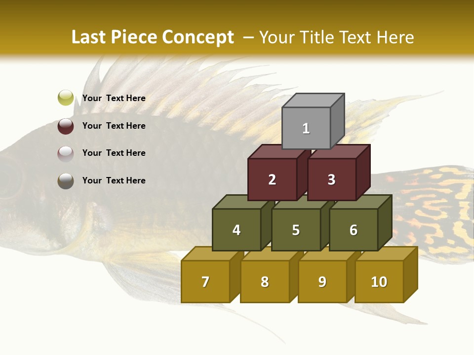 Aquarium Cockatoo Dwarf Cichlid Pet PowerPoint Template