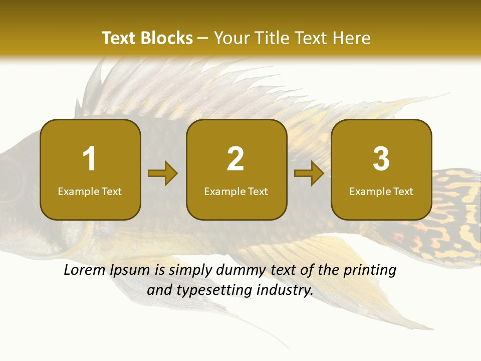 Aquarium Cockatoo Dwarf Cichlid Pet PowerPoint Template