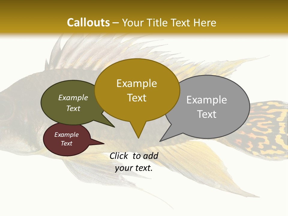 Aquarium Cockatoo Dwarf Cichlid Pet PowerPoint Template