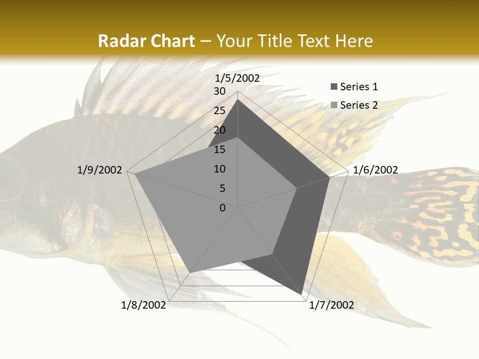 Aquarium Cockatoo Dwarf Cichlid Pet PowerPoint Template
