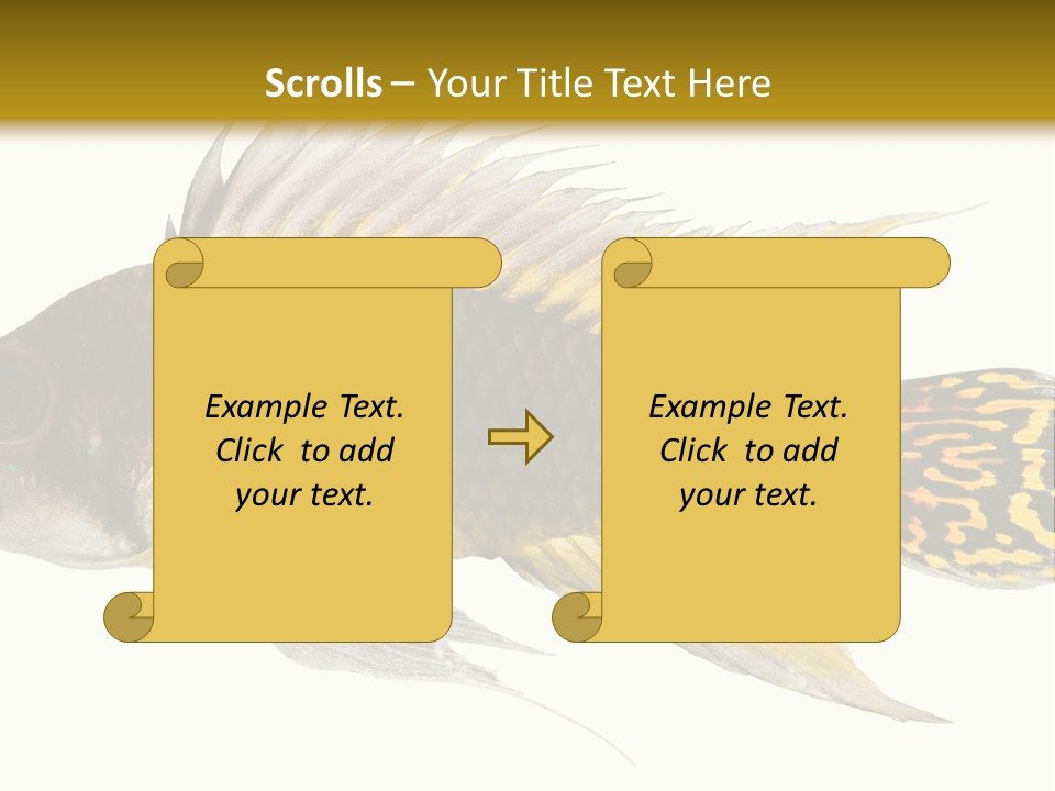 Aquarium Cockatoo Dwarf Cichlid Pet PowerPoint Template