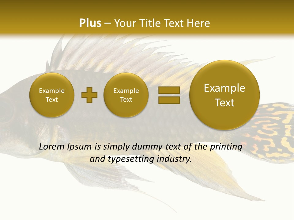 Aquarium Cockatoo Dwarf Cichlid Pet PowerPoint Template