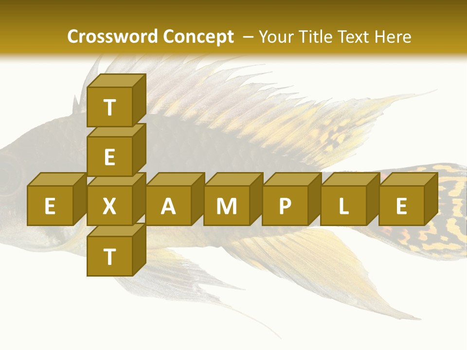 Aquarium Cockatoo Dwarf Cichlid Pet PowerPoint Template