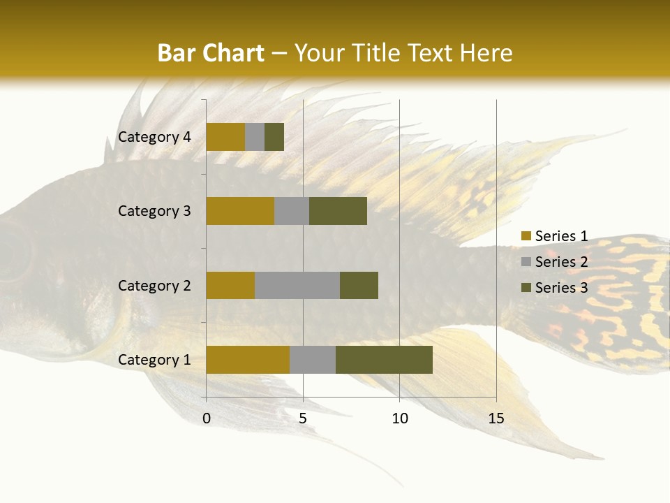 Aquarium Cockatoo Dwarf Cichlid Pet PowerPoint Template