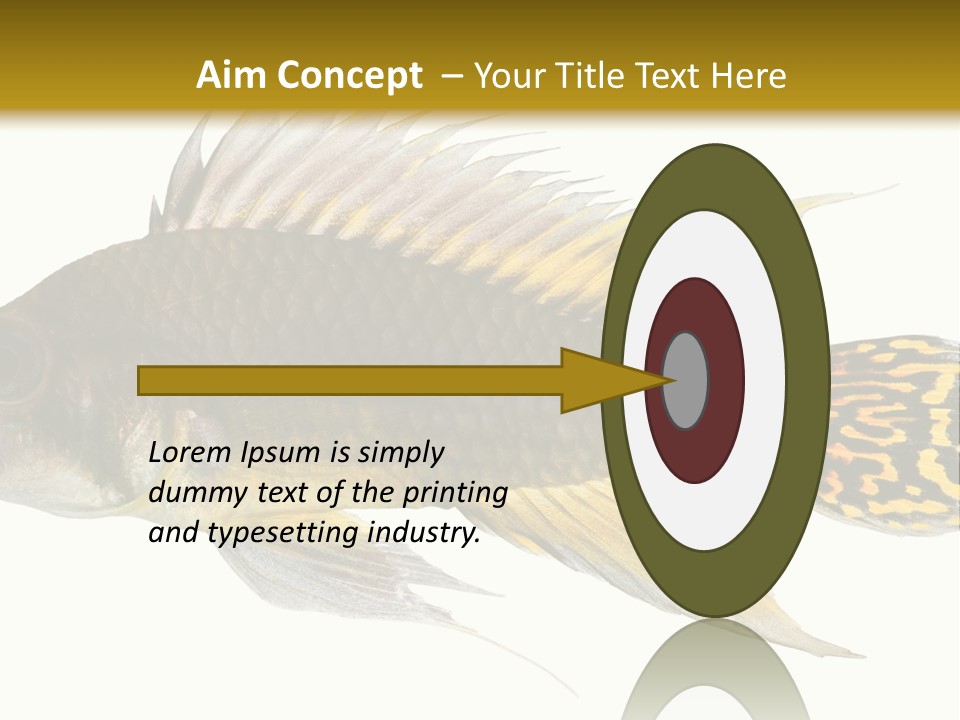 Aquarium Cockatoo Dwarf Cichlid Pet PowerPoint Template