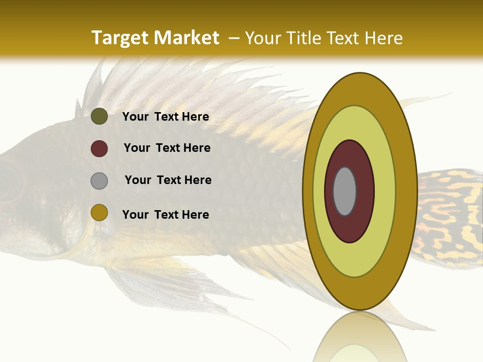 Aquarium Cockatoo Dwarf Cichlid Pet PowerPoint Template