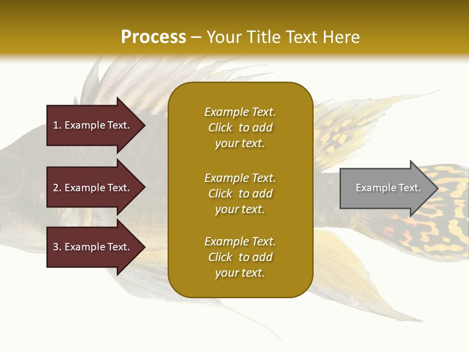 Aquarium Cockatoo Dwarf Cichlid Pet PowerPoint Template