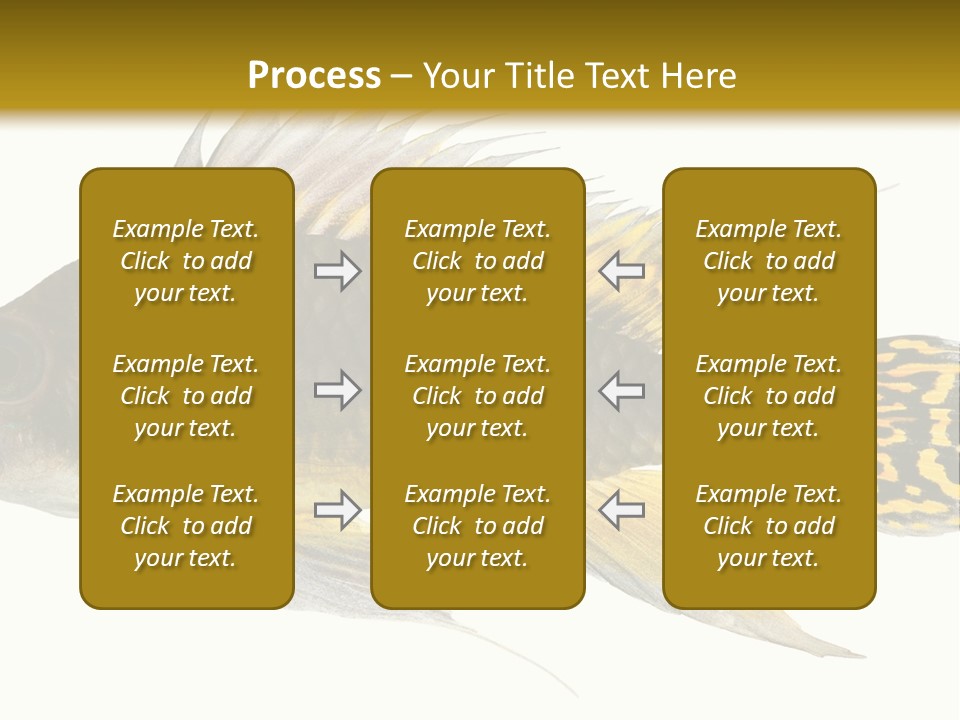 Aquarium Cockatoo Dwarf Cichlid Pet PowerPoint Template