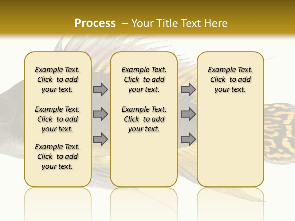 Aquarium Cockatoo Dwarf Cichlid Pet PowerPoint Template