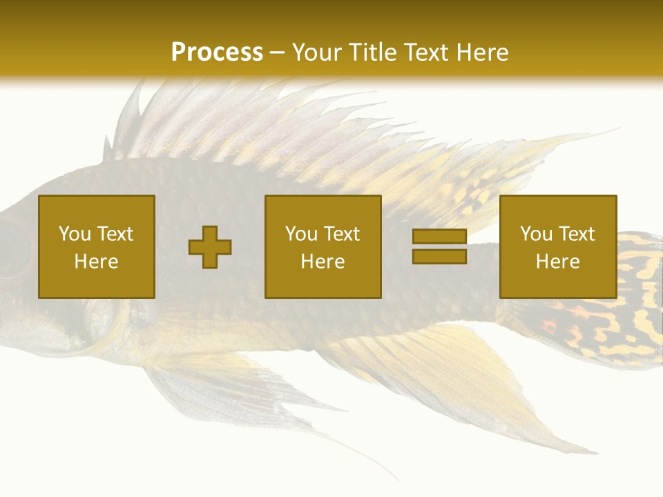 Aquarium Cockatoo Dwarf Cichlid Pet PowerPoint Template