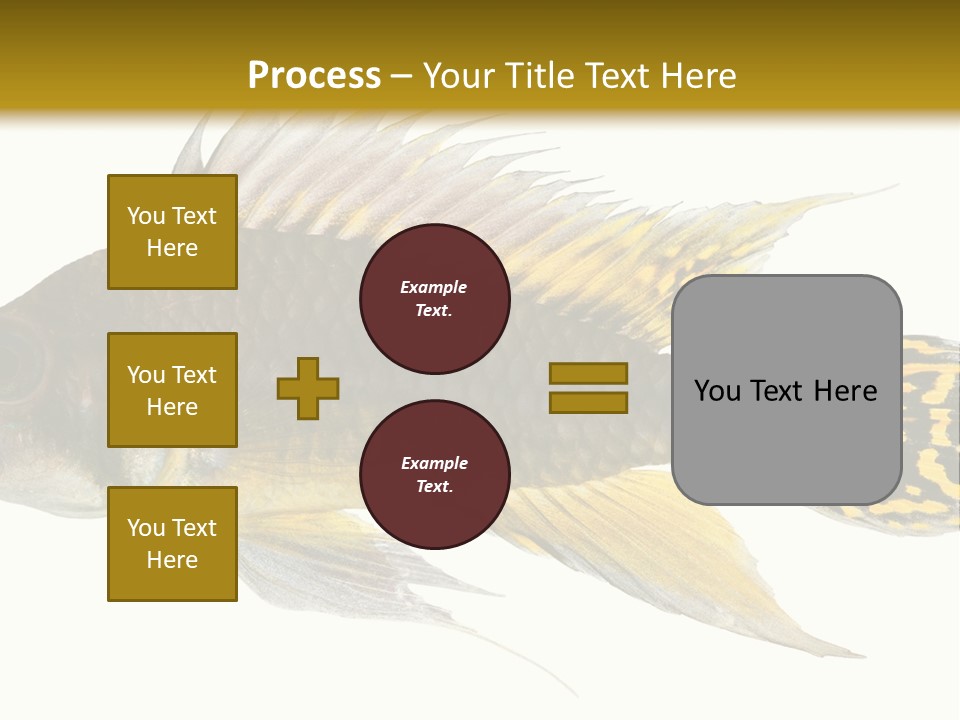 Aquarium Cockatoo Dwarf Cichlid Pet PowerPoint Template