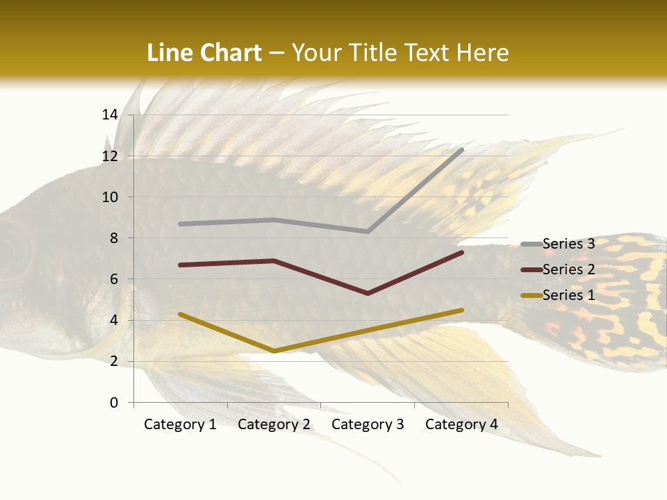 Aquarium Cockatoo Dwarf Cichlid Pet PowerPoint Template