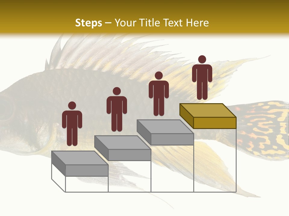Aquarium Cockatoo Dwarf Cichlid Pet PowerPoint Template