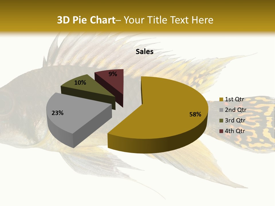 Aquarium Cockatoo Dwarf Cichlid Pet PowerPoint Template