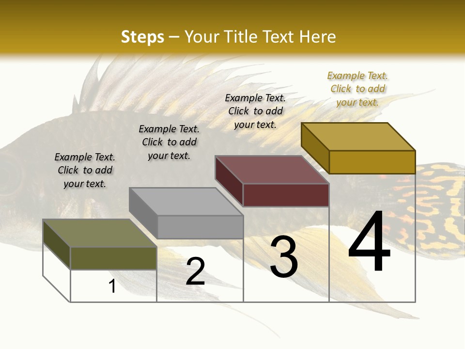 Aquarium Cockatoo Dwarf Cichlid Pet PowerPoint Template