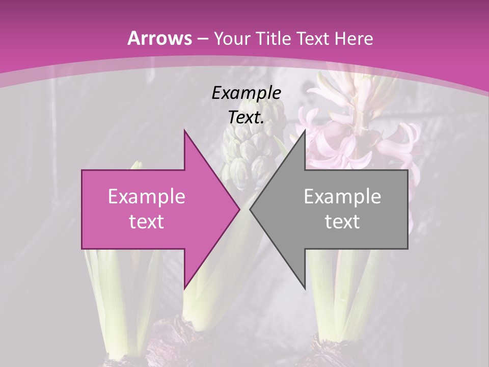 Interior Bulb Garret PowerPoint Template