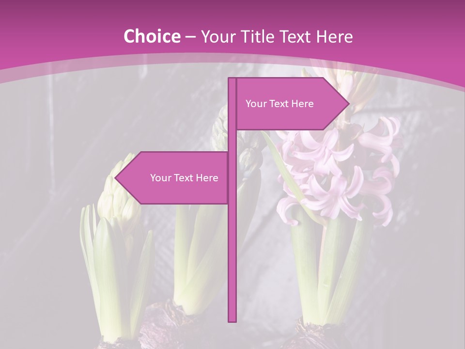 Interior Bulb Garret PowerPoint Template