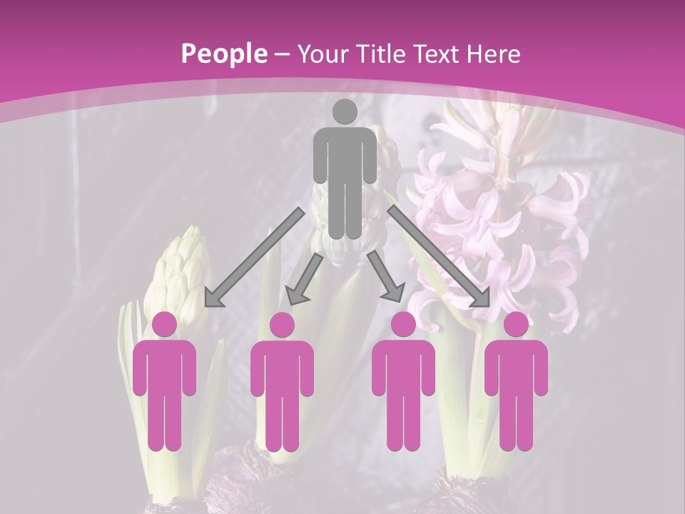 Interior Bulb Garret PowerPoint Template