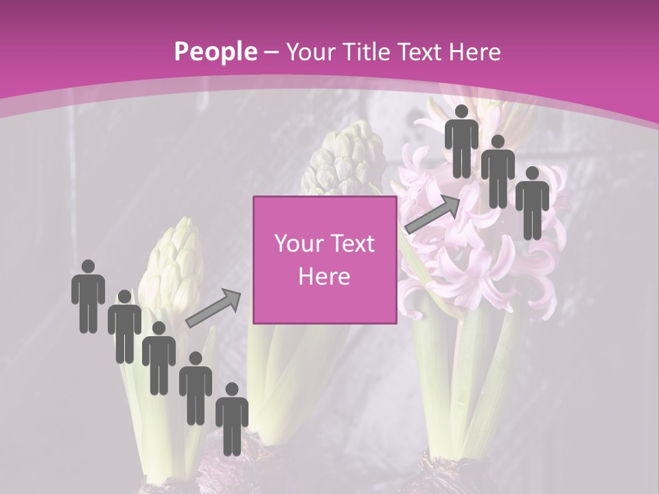 Interior Bulb Garret PowerPoint Template