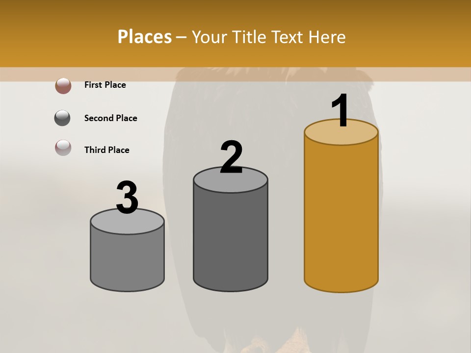 Eagle Freedom Wildlife PowerPoint Template