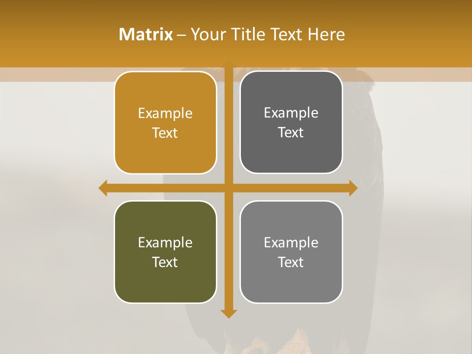 Eagle Freedom Wildlife PowerPoint Template